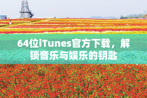 64位iTunes官方下载，解锁音乐与娱乐的钥匙