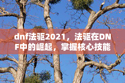 dnf法驱2021,法驱在DNF中的崛起,掌握核心技能,打造顶级法驱 dnf法驱2021,法驱在DNF中的崛起,掌握核心技能,打造顶级法驱