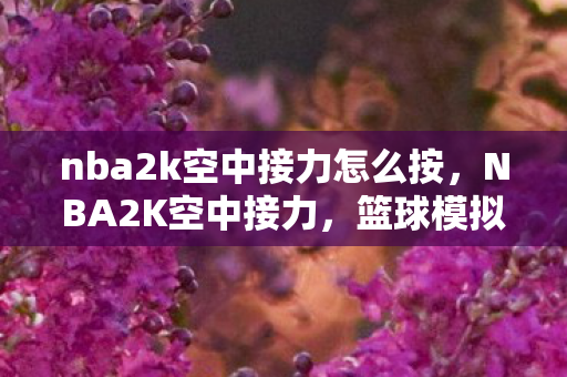 nba2k空中接力怎么按，NBA2K空中接力，篮球模拟游戏中的经典合作