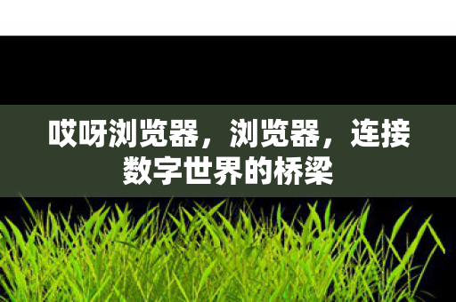 哎呀浏览器，浏览器，连接数字世界的桥梁