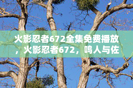火影忍者672全集免费播放，火影忍者672，鸣人与佐助的终极对决