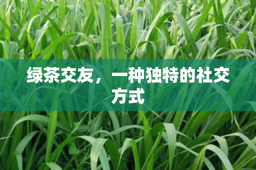 绿茶交友，一种独特的社交方式