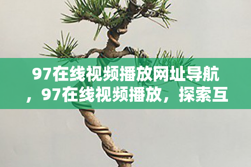 97在线视频播放网址导航，97在线视频播放，探索互联网时代的娱乐新纪元