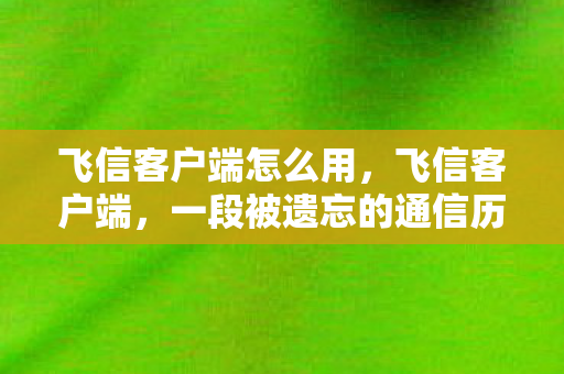 飞信客户端怎么用，飞信客户端，一段被遗忘的通信历史