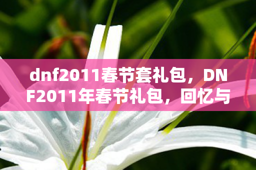 dnf2011春节套礼包，DNF2011年春节礼包，回忆与情怀的交织