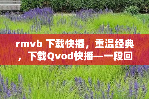 rmvb 下载快播,重温经典,下载Qvod快播—一段回忆的旅程 rmvb 下载快播,重温经典,下载Qvod快播—一段回忆的旅程