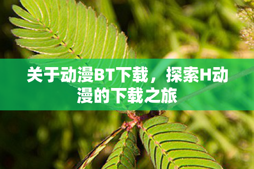 关于动漫BT下载，探索H动漫的下载之旅