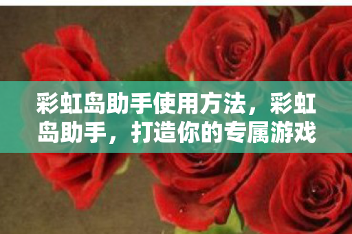 彩虹岛助手使用方法，彩虹岛助手，打造你的专属游戏助手
