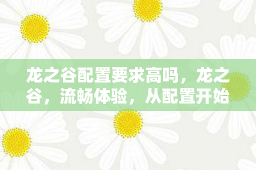 龙之谷配置要求高吗，龙之谷，流畅体验，从配置开始