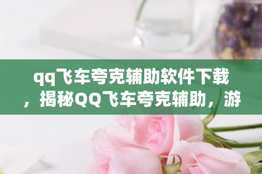 qq飞车夸克辅助软件下载，揭秘QQ飞车夸克辅助，游戏作弊的灰色地带