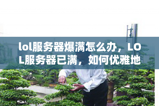 lol服务器爆满怎么办，LOL服务器已满，如何优雅地应对游戏高峰期的挑战