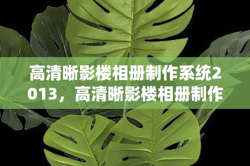 高清晰影楼相册制作系统2013，高清晰影楼相册制作系统，打造个性化回忆的艺术品