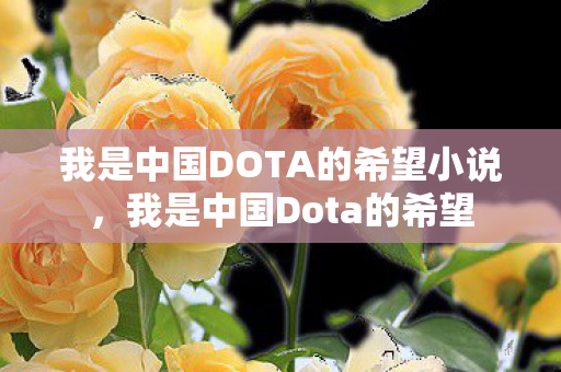 我是中国DOTA的希望小说，我是中国Dota的希望