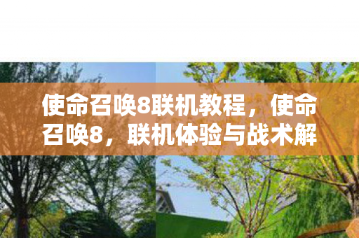 使命召唤8联机教程，使命召唤8，联机体验与战术解析