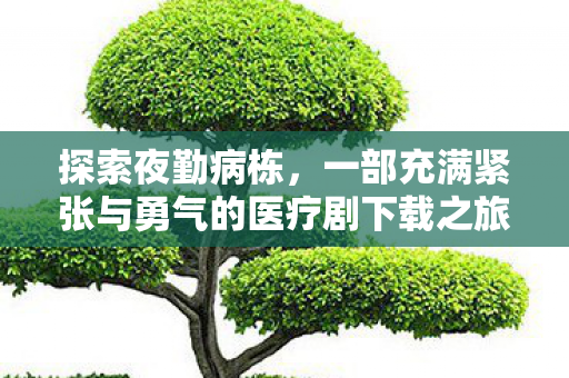 探索夜勤病栋，一部充满紧张与勇气的医疗剧下载之旅