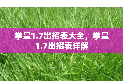 拳皇1.7出招表大全，拳皇1.7出招表详解