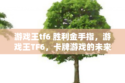 游戏王tf6 胜利金手指，游戏王TF6，卡牌游戏的未来与传承