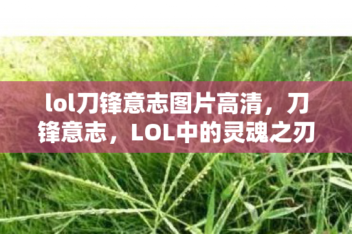lol刀锋意志图片高清，刀锋意志，LOL中的灵魂之刃