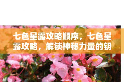 七色星露攻略顺序，七色星露攻略，解锁神秘力量的钥匙