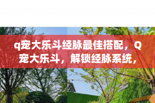 q宠大乐斗经脉最佳搭配，Q宠大乐斗，解锁经脉系统，提升战斗力的终极攻略