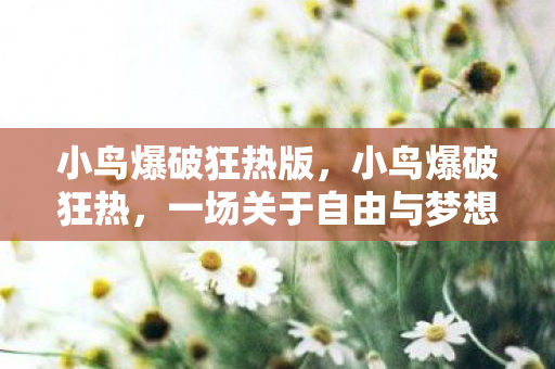 小鸟爆破狂热版，小鸟爆破狂热，一场关于自由与梦想的冒险