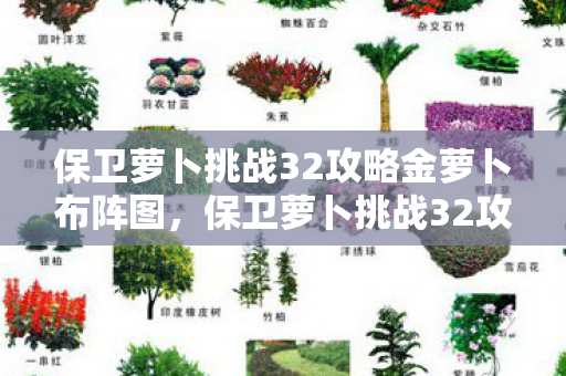 保卫萝卜挑战32攻略金萝卜布阵图，保卫萝卜挑战32攻略，解锁终极防御策略