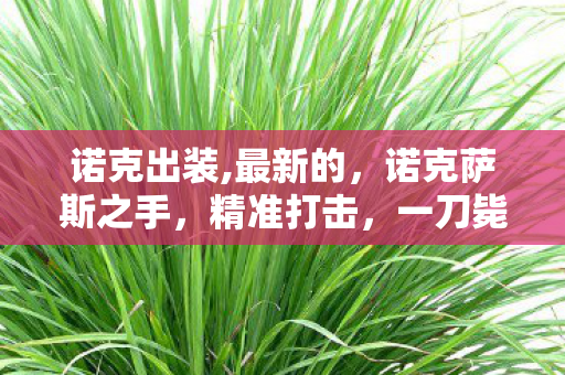 诺克出装,最新的，诺克萨斯之手，精准打击，一刀毙命的出装指南