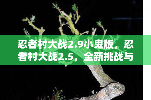 忍者村大战2.9小鬼版，忍者村大战2.5，全新挑战与策略的深度解析