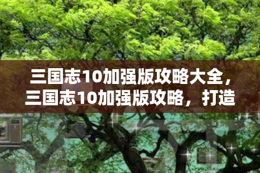 三国志10加强版攻略大全，三国志10加强版攻略，打造你的霸业之路