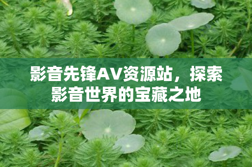 影音先锋AV资源站,探索影音世界的宝藏之地 影音先锋AV资源站,探索影音世界的宝藏之地