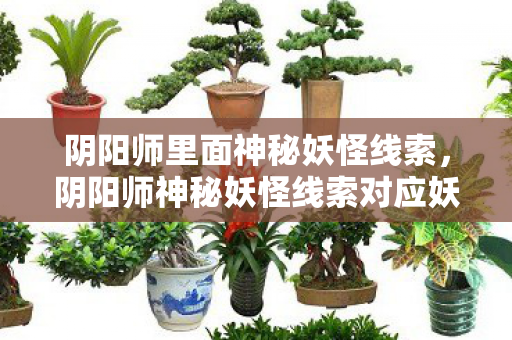 阴阳师里面神秘妖怪线索，阴阳师神秘妖怪线索对应妖怪关卡大全