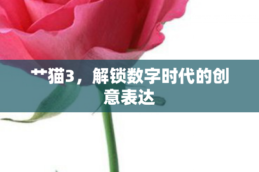艹猫3，解锁数字时代的创意表达