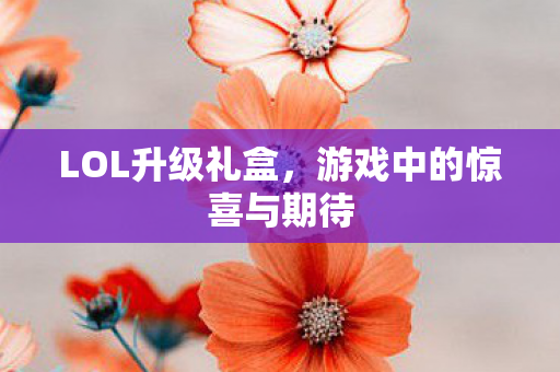 LOL升级礼盒,游戏中的惊喜与期待 LOL升级礼盒,游戏中的惊喜与期待