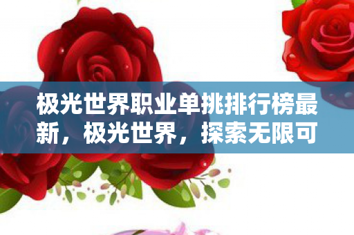 极光世界职业单挑排行榜最新，极光世界，探索无限可能的职业选择