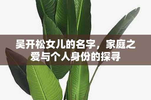 吴开松女儿的名字，家庭之爱与个人身份的探寻