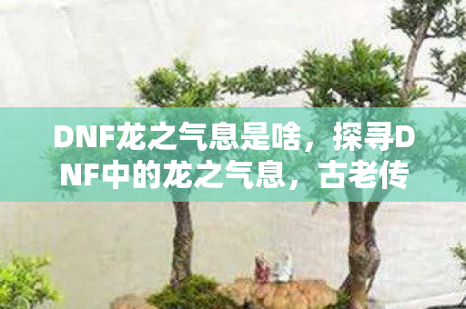 DNF龙之气息是啥,探寻DNF中的龙之气息,古老传说与现代游戏的交织 DNF龙之气息是啥,探寻DNF中的龙之气息,古老传说与现代游戏的交织