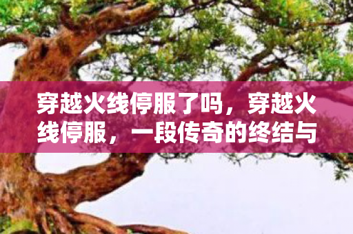 穿越火线停服了吗，穿越火线停服，一段传奇的终结与回忆的封存