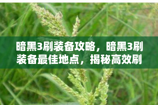 暗黑3刷装备攻略，暗黑3刷装备最佳地点，揭秘高效刷装备的秘密