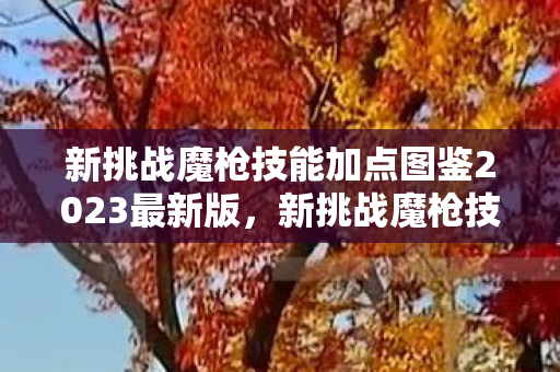 新挑战魔枪技能加点图鉴2023最新版，新挑战魔枪技能加点图，打造无敌战斗力的关键