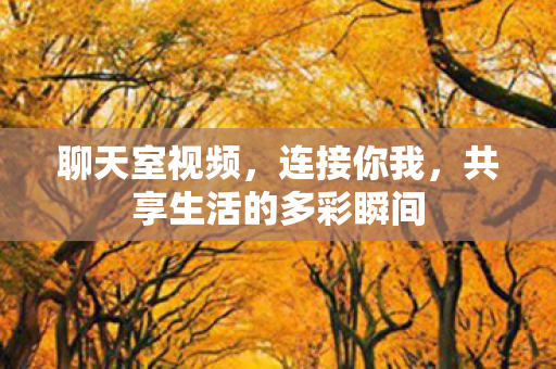 聊天室视频，连接你我，共享生活的多彩瞬间