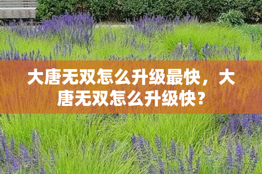 大唐无双怎么升级最快,大唐无双怎么升级快? 大唐无双怎么升级最快,大唐无双怎么升级快?