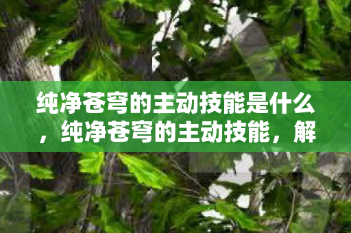 纯净苍穹的主动技能是什么,纯净苍穹的主动技能,解锁王者荣耀中的新战术 纯净苍穹的主动技能是什么,纯净苍穹的主动技能,解锁王者荣耀中的新战术