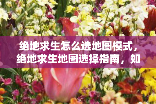 绝地求生怎么选地图模式，绝地求生地图选择指南，如何在不同地图中取得优势