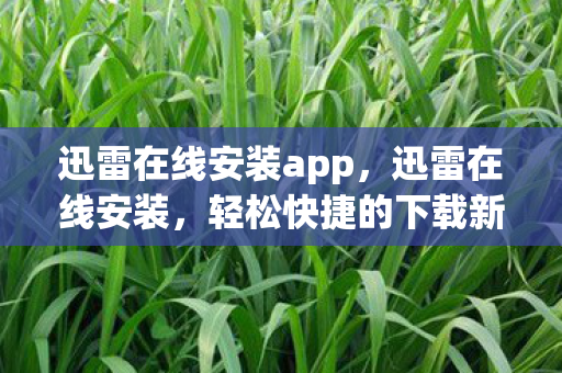 迅雷在线安装app,迅雷在线安装,轻松快捷的下载新体验 迅雷在线安装app,迅雷在线安装,轻松快捷的下载新体验