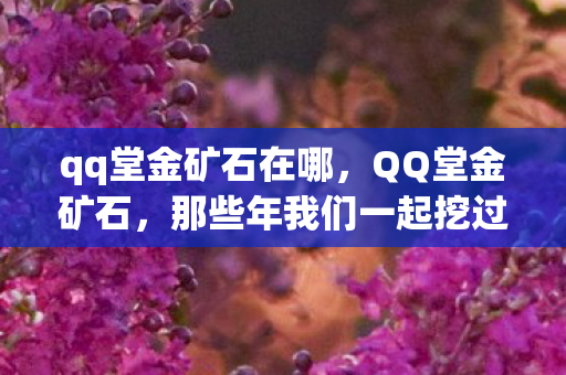 qq堂金矿石在哪，QQ堂金矿石，那些年我们一起挖过的宝藏