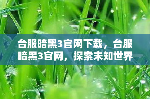 台服暗黑3官网下载，台服暗黑3官网，探索未知世界的奇幻之旅