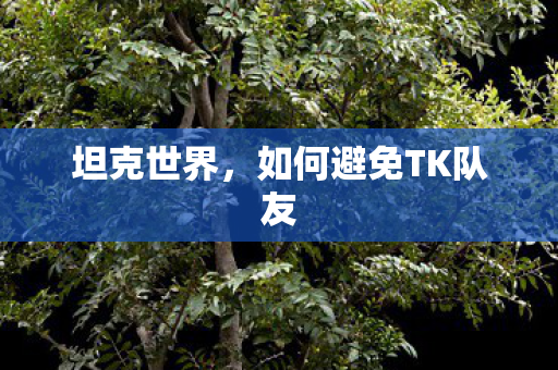 坦克世界，如何避免TK队友