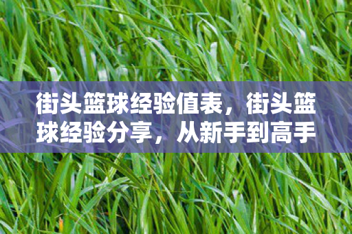 街头篮球经验值表，街头篮球经验分享，从新手到高手的必经之路