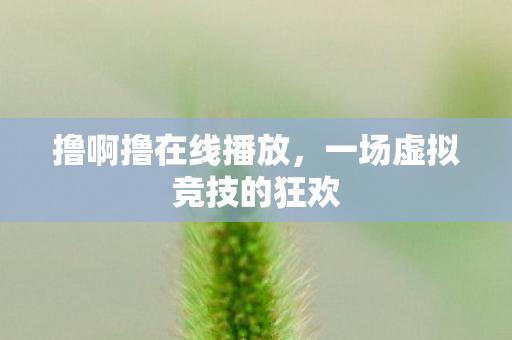 撸啊撸在线播放，一场虚拟竞技的狂欢