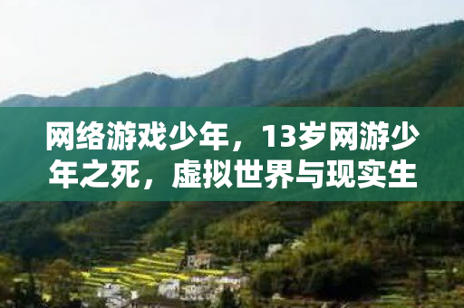网络游戏少年，13岁网游少年之死，虚拟世界与现实生活的界限
